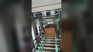 YQZX-DL-12 Drop type packing machine